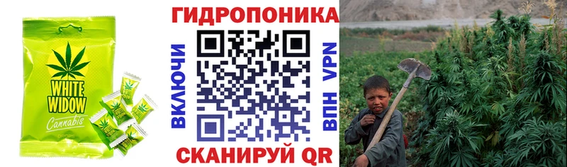 Еда ТГК марихуана  Купить где  Нижнеудинск 