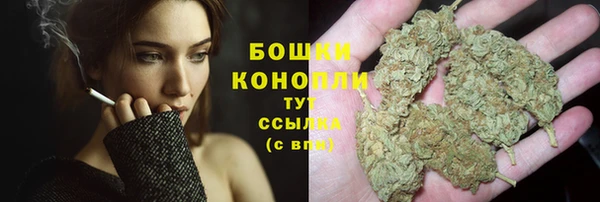 PSILOCYBIN Верхний Тагил