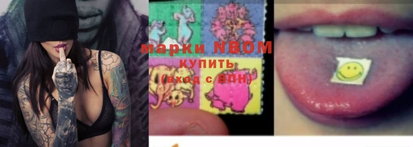 PSILOCYBIN Верхний Тагил
