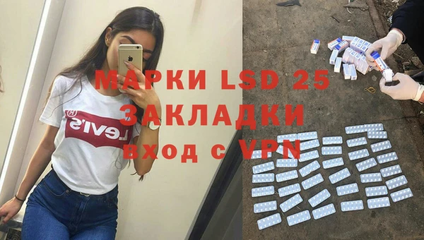 PSILOCYBIN Верхний Тагил