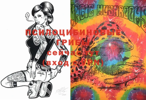 PSILOCYBIN Верхний Тагил