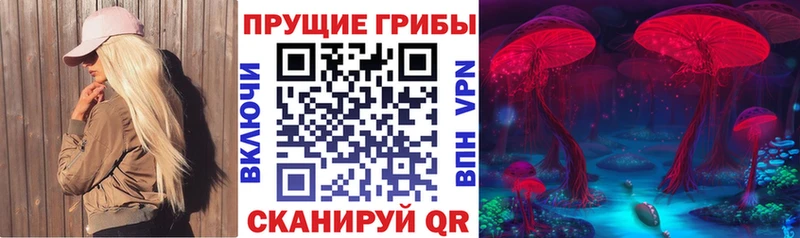 Купить закладки  Нижнеудинск  Псилоцибиновые грибы прущие грибы 